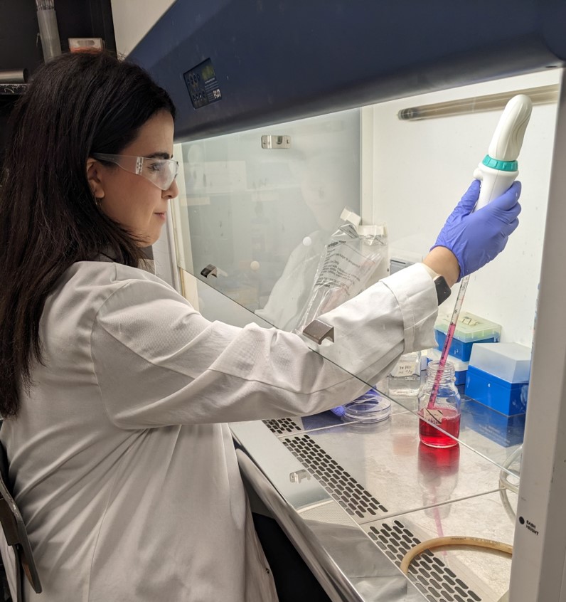 Biochemistry preparing cell cultures in a fumehood