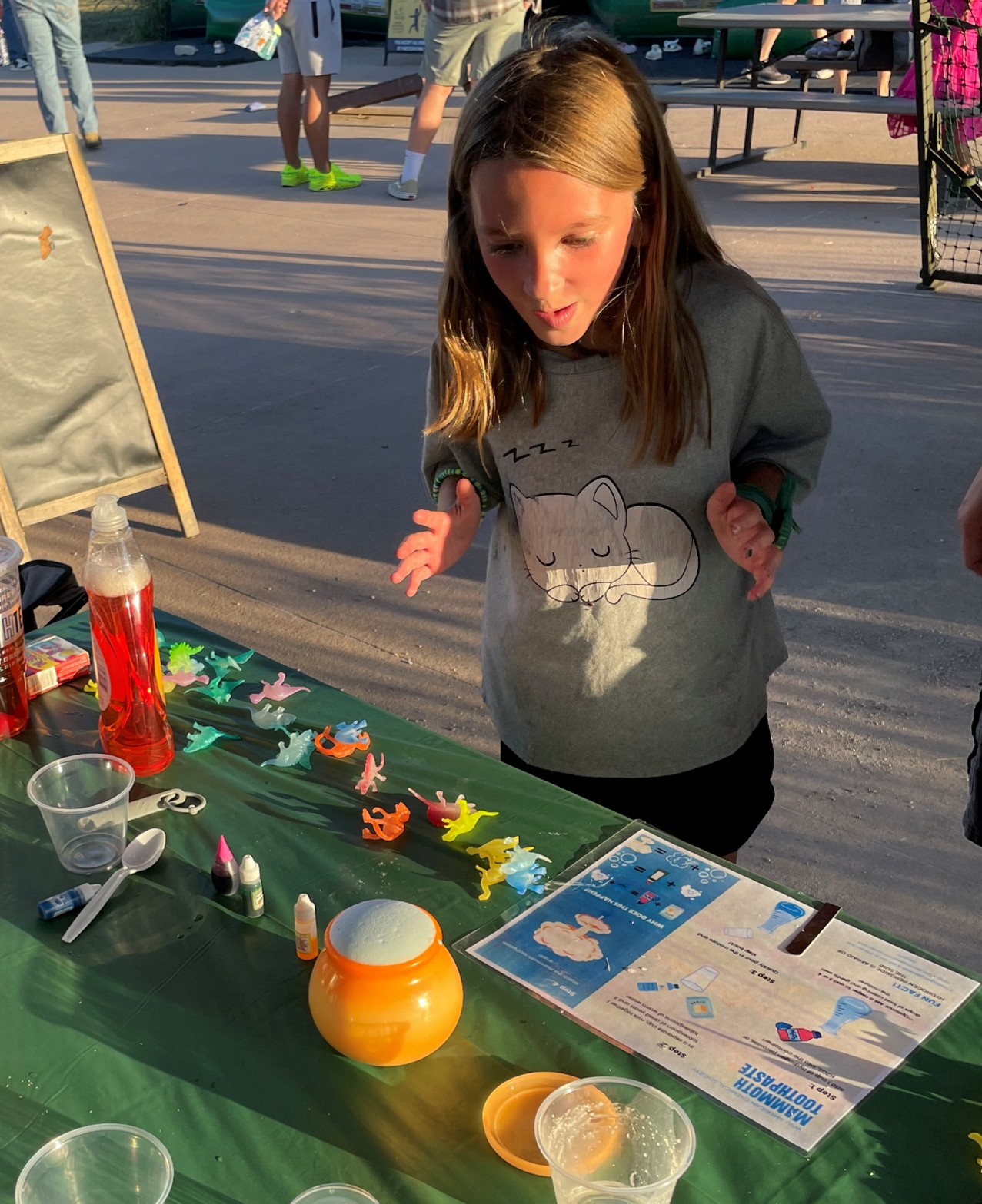 Child purusing various scientific acitivies