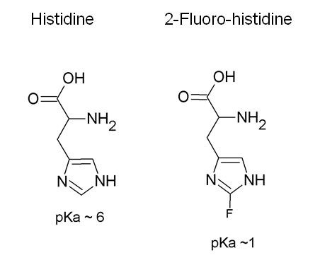 Fluorine NMR diagrams - Histidine and Fluoro-histidine. 