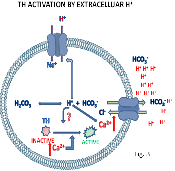 Wimalasena Figure 3