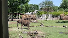 Sedgwick County Zoo