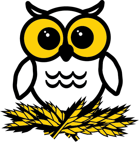 Elliott Owl
