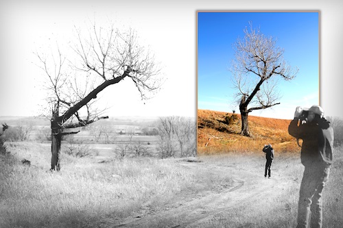 Photo montage of Les Anderson taking photos of the Kansas prairie.