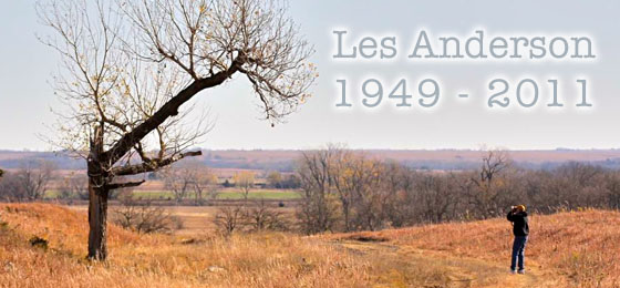 Les Anderson Fund for Students page header