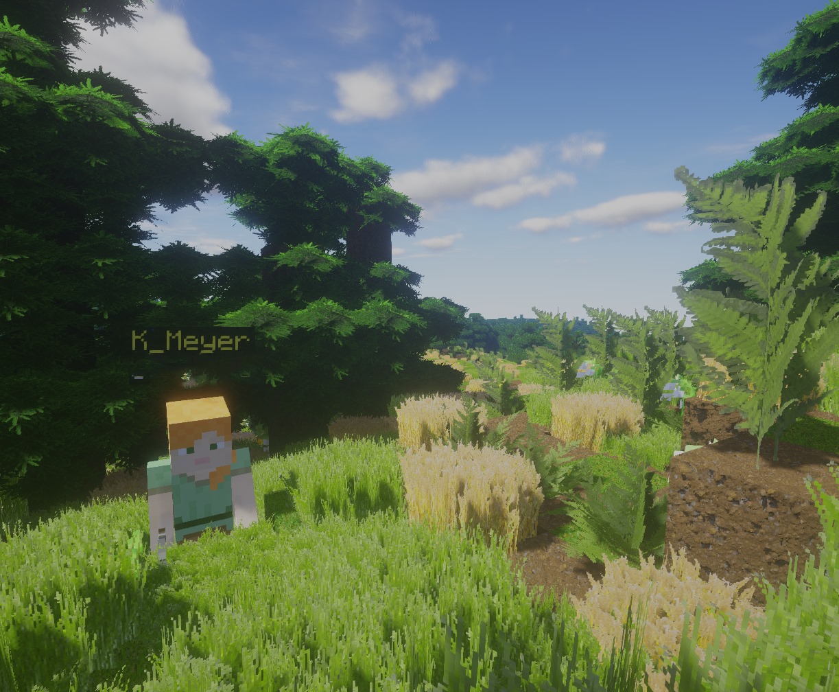 minecraft camp