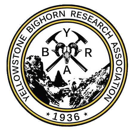 YBRA logo