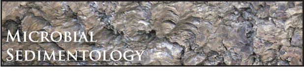 Microbial Sedimentology Header