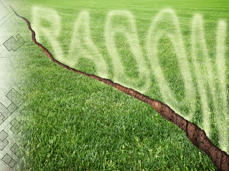 grassy field with large crack in soil with transparent word 