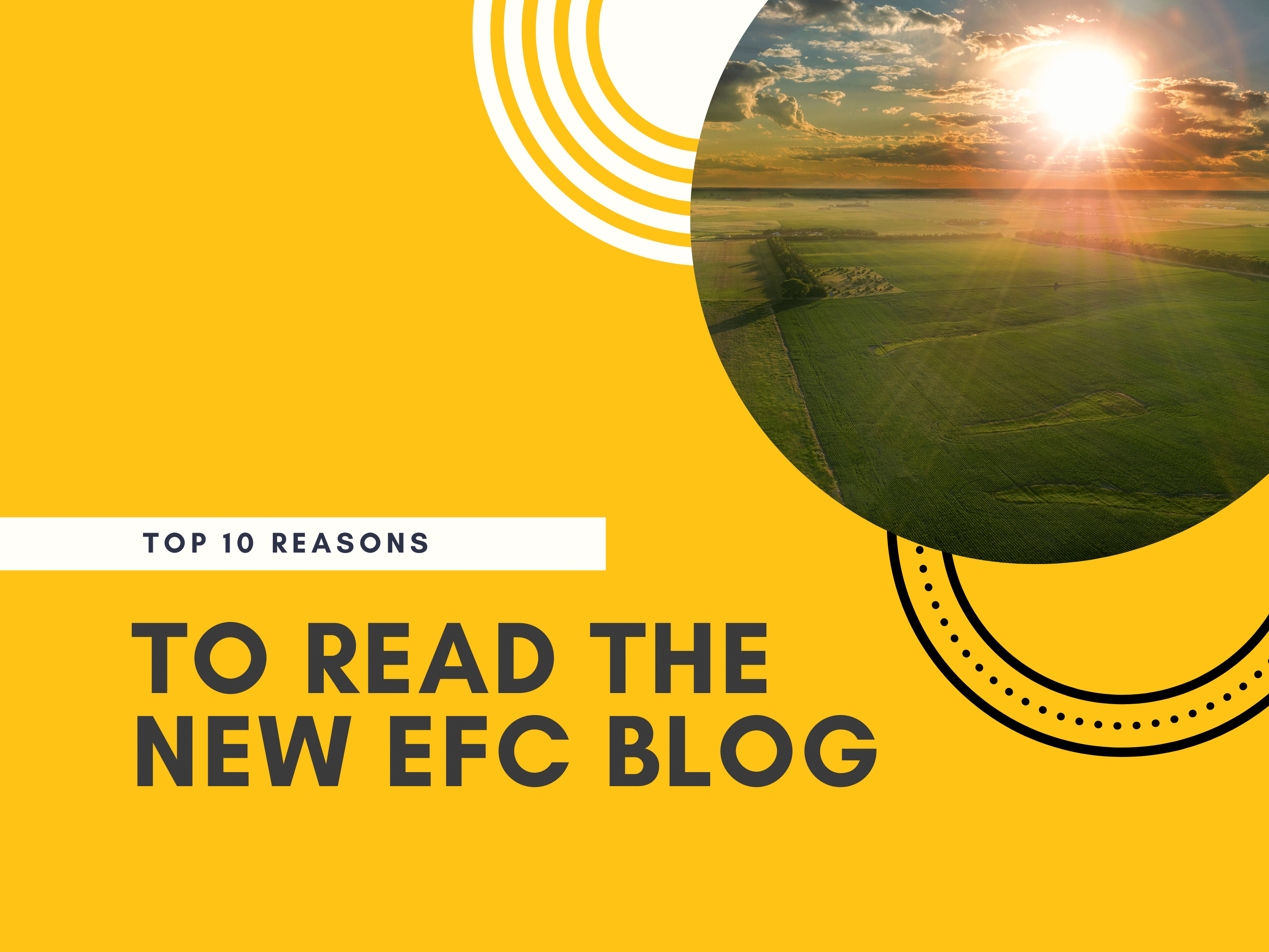 Top 10 Reasons to Read the New EFC Blog