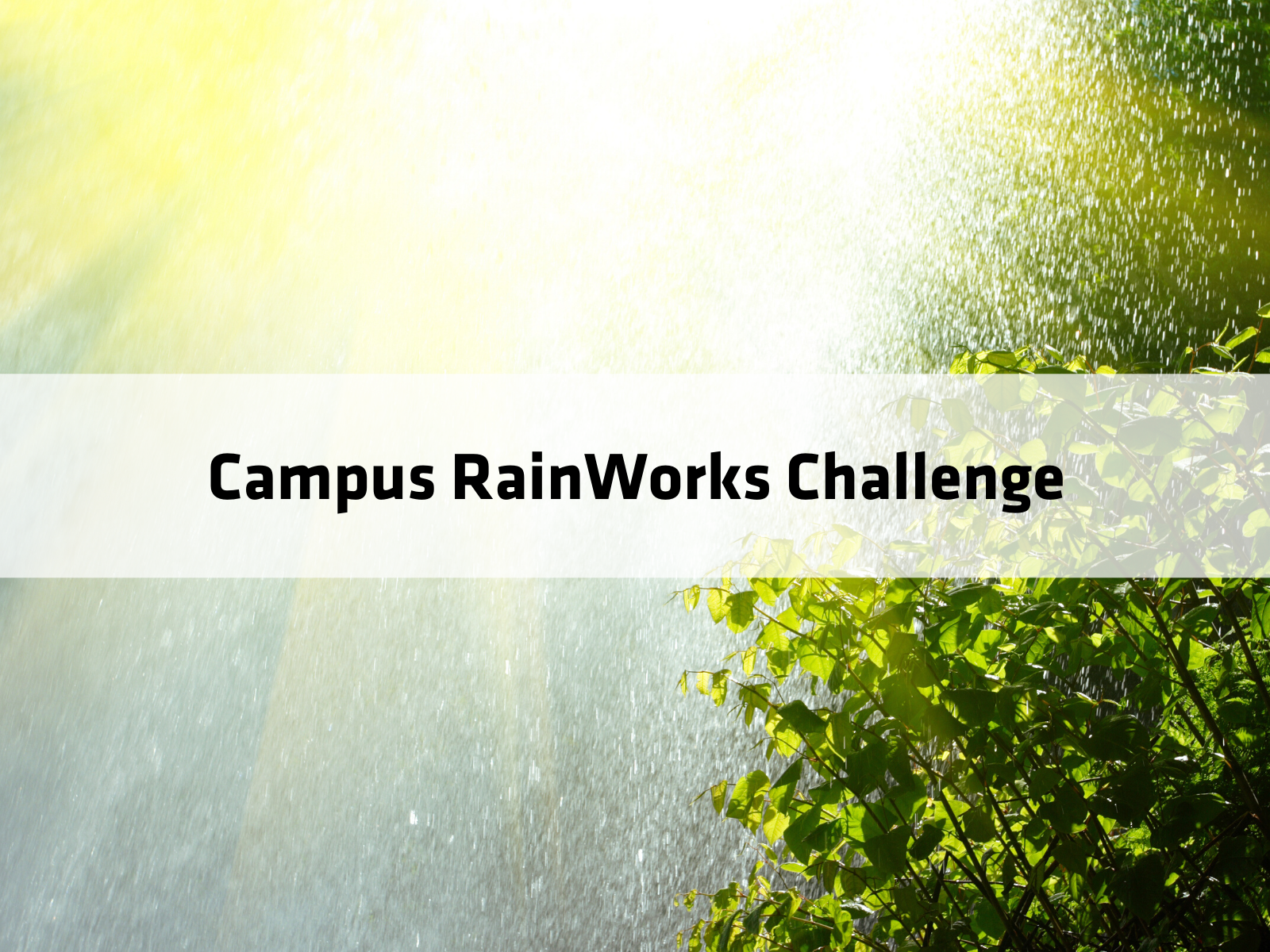 Campus RainWorks Challenge