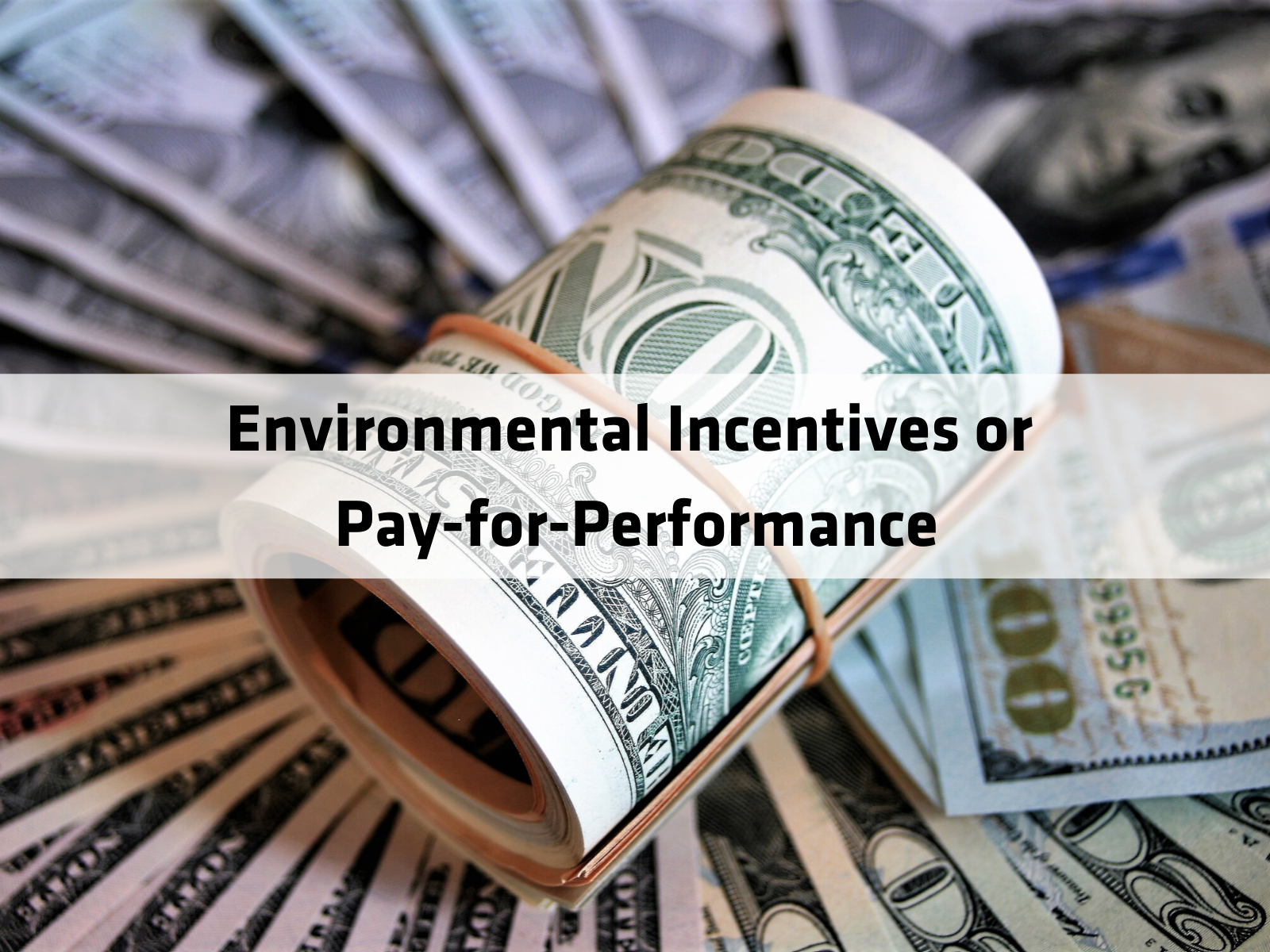 Environmental Incentives or Pay-for-Performance