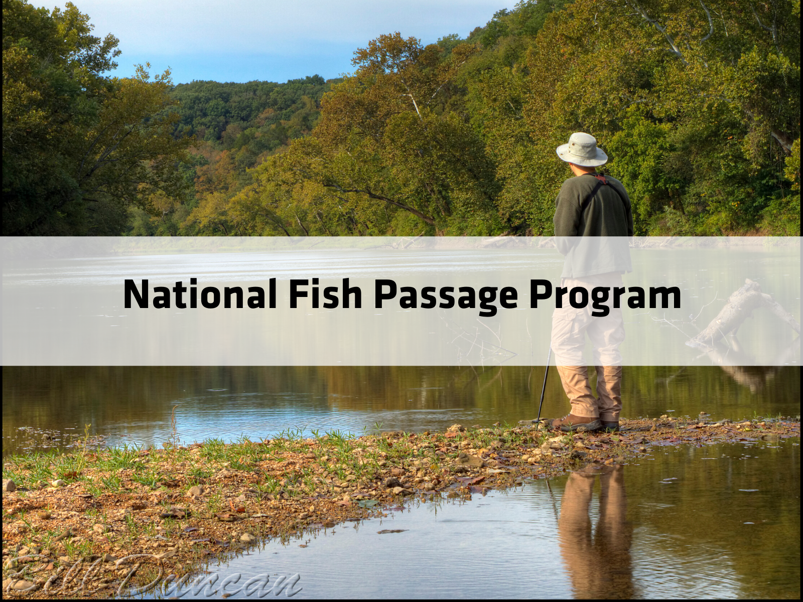 National Fish Passage Program