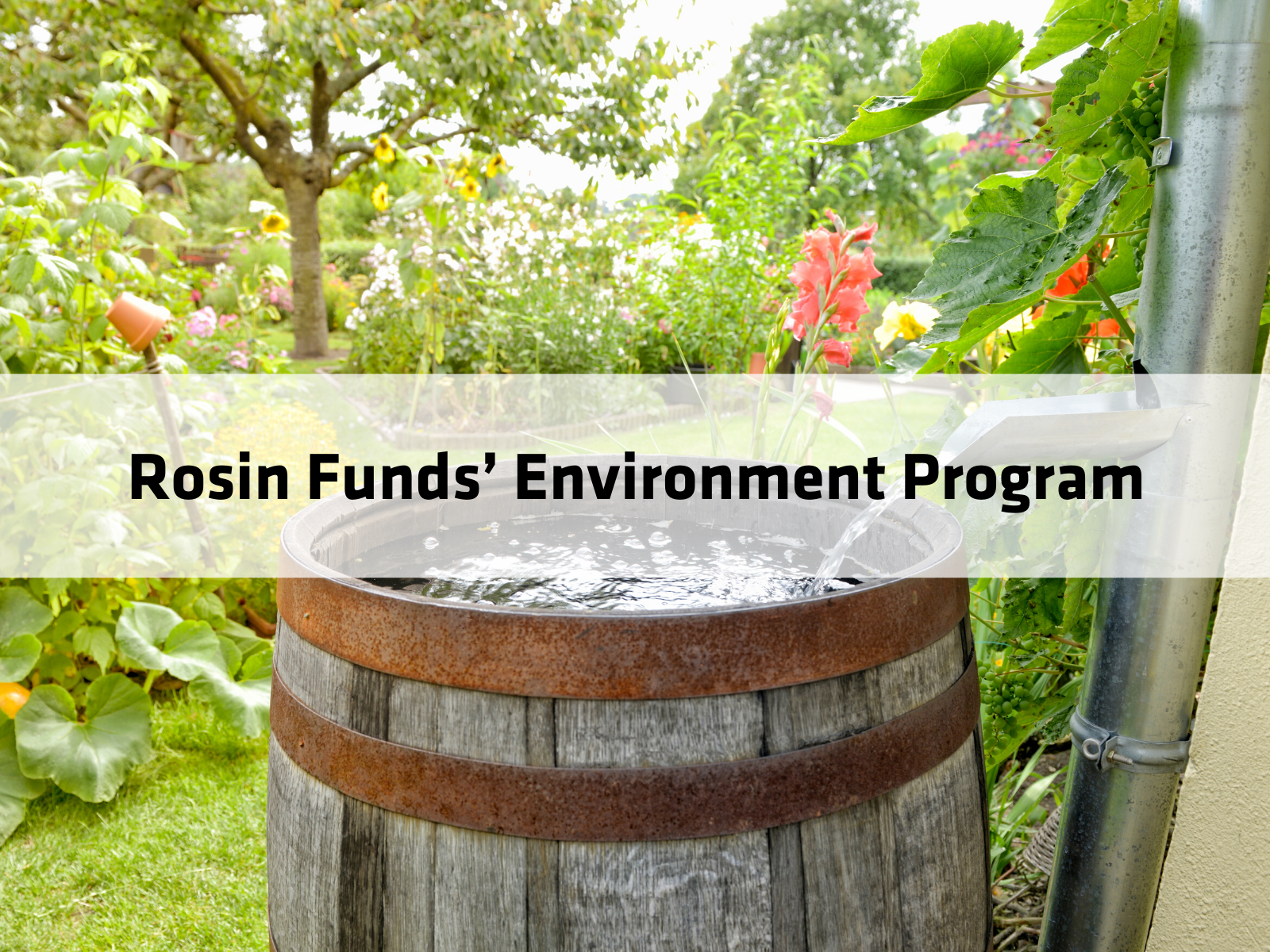 Rosin Funds’ Environment Program