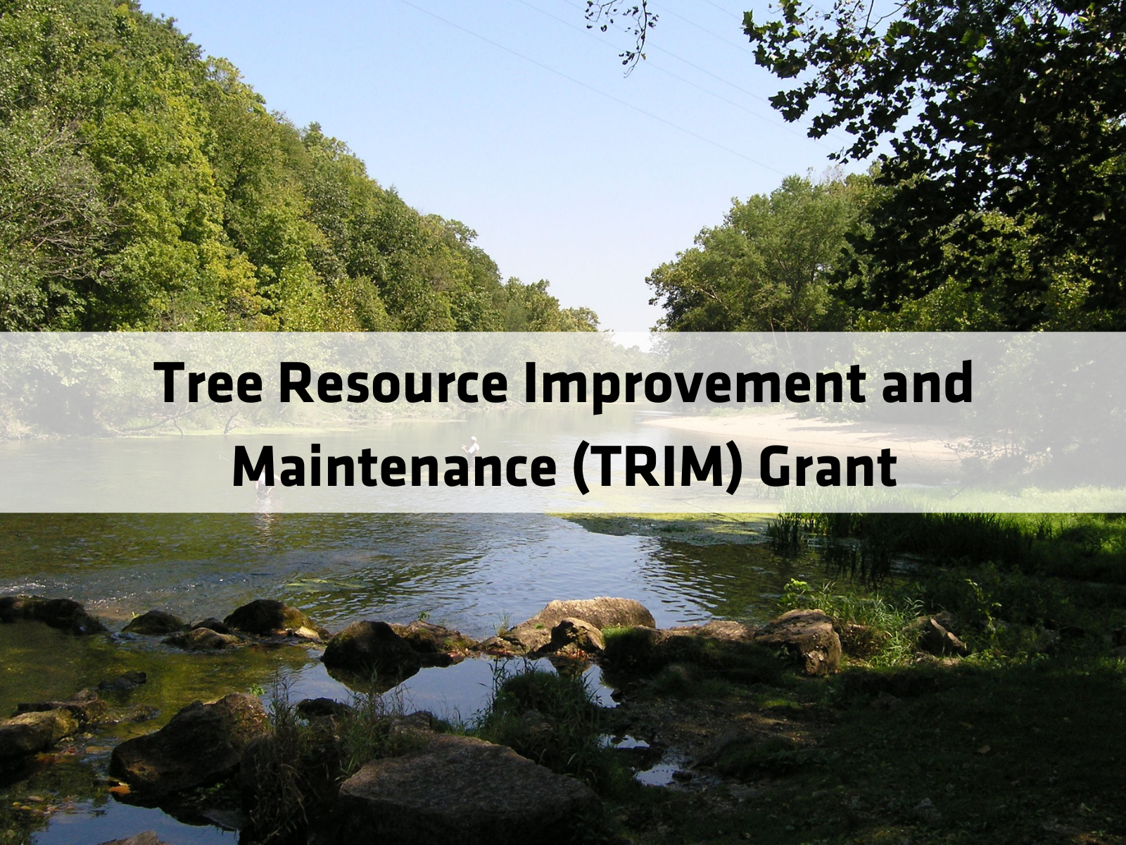 Tree Resource Improvement and Maintenance (TRIM) Grant