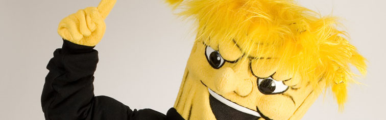 WuShock Banner