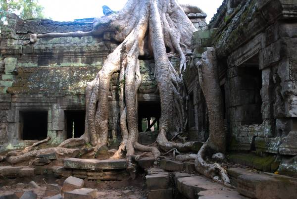 Wabi Sabi Photo of Angkor Wat in Cambodia