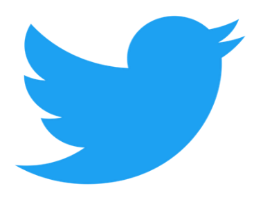 Twitter bird
