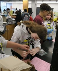 students working