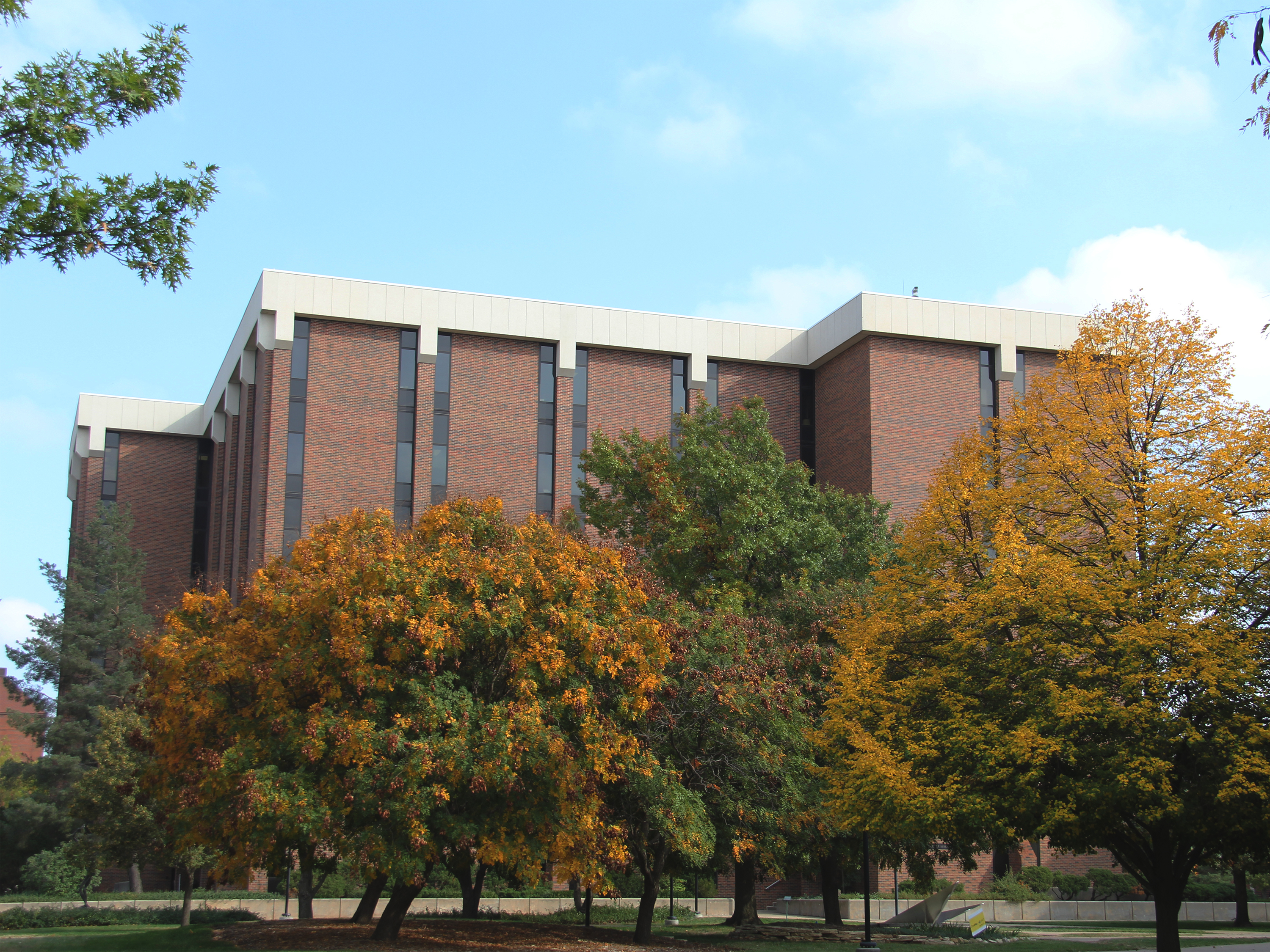 students on campus