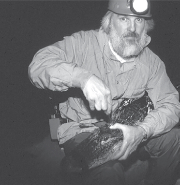 Photo of Louis Guillette Jr.