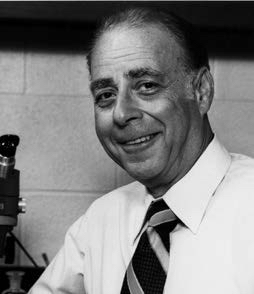 Photo of Alvin Sarachek