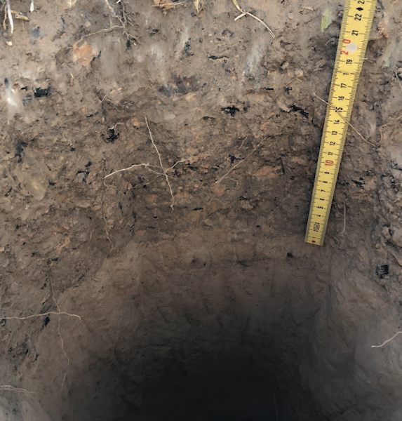 Photo: One of the shovel test pits.