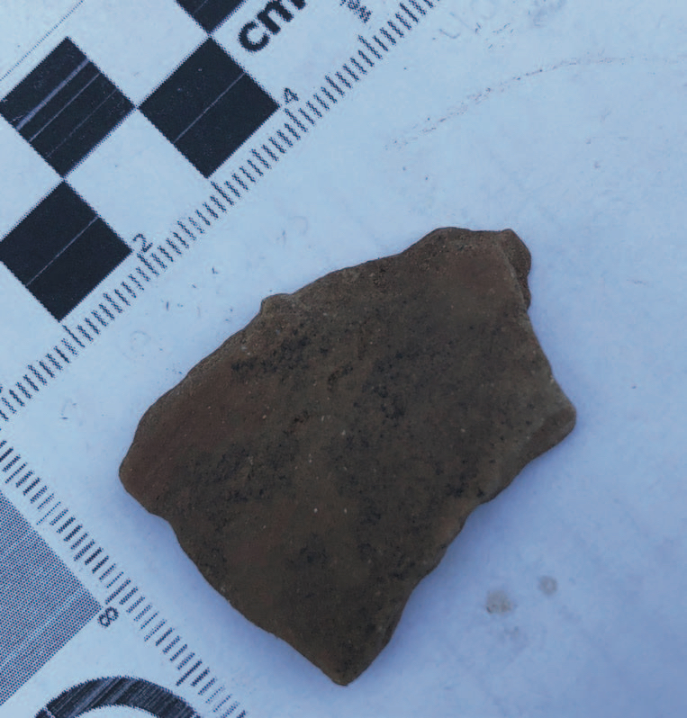 Photo: This Caddo sherd shows faint impressions of semi-circle decoration, made by pressing fingernails into wet clay. This was the only piece of decorated pottery recovered in the initial survey.