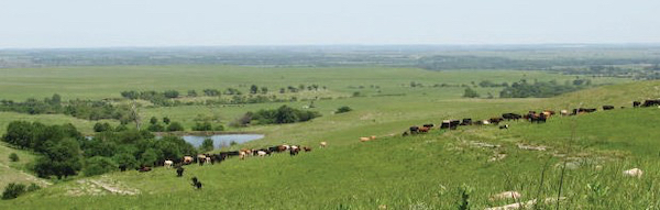 Photo: The Youngmeyer Ranch in Elk County is preserved forever.