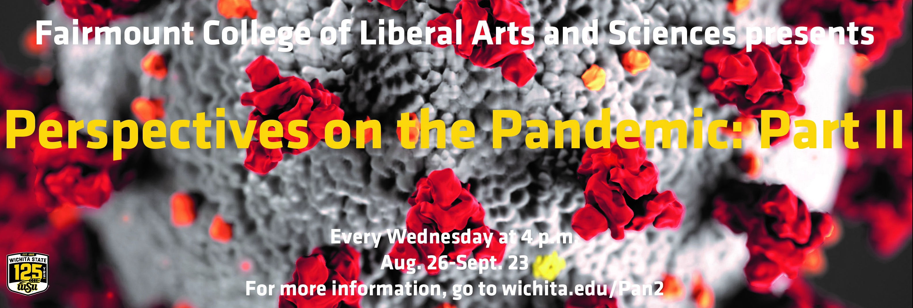 Perspectives on the Pandemic: Part II 