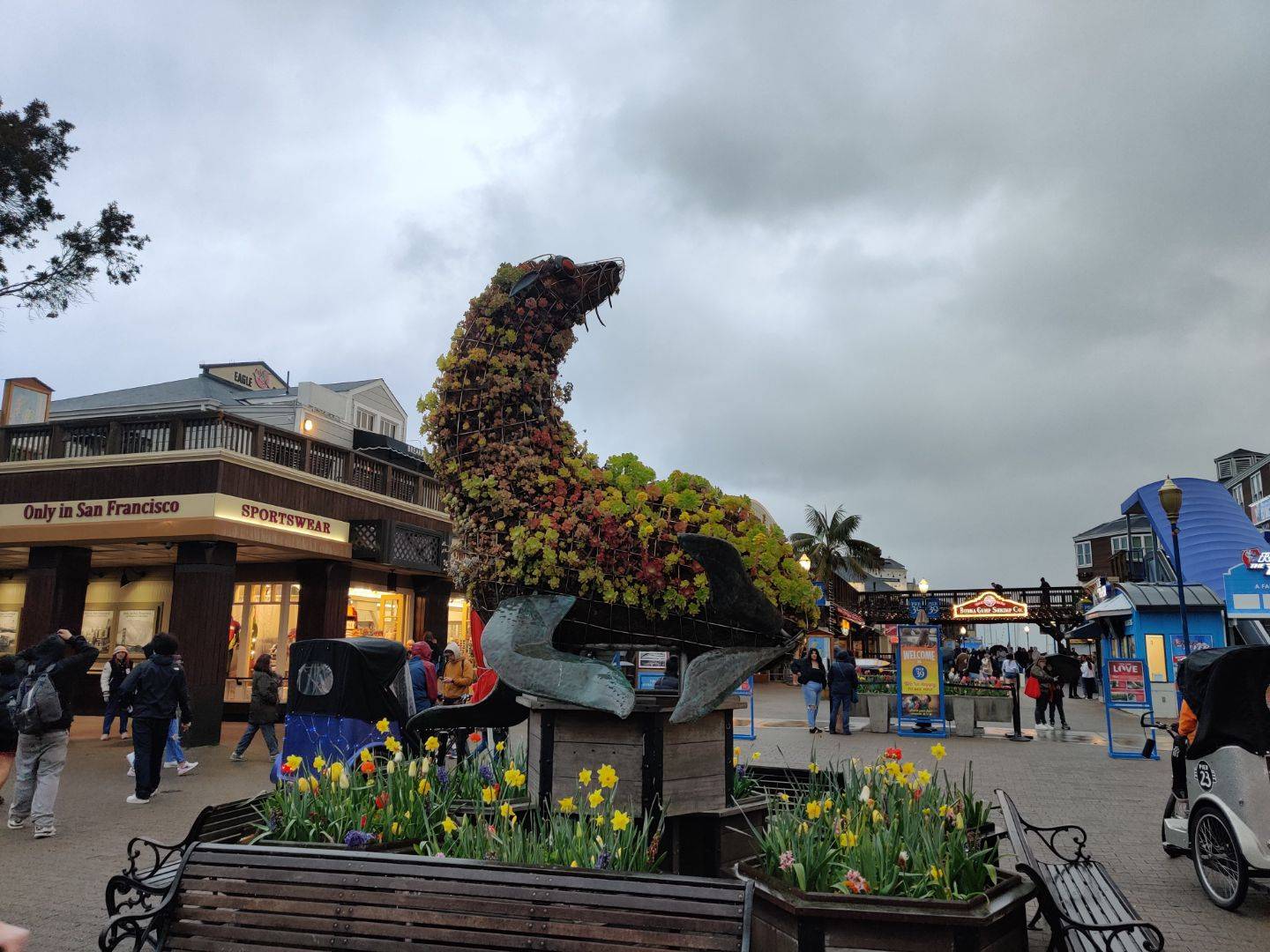 Pier 39 in San Francisco. 