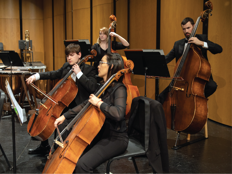 a photo of our double basses and cellos