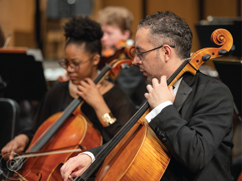 cellists in an orchestra