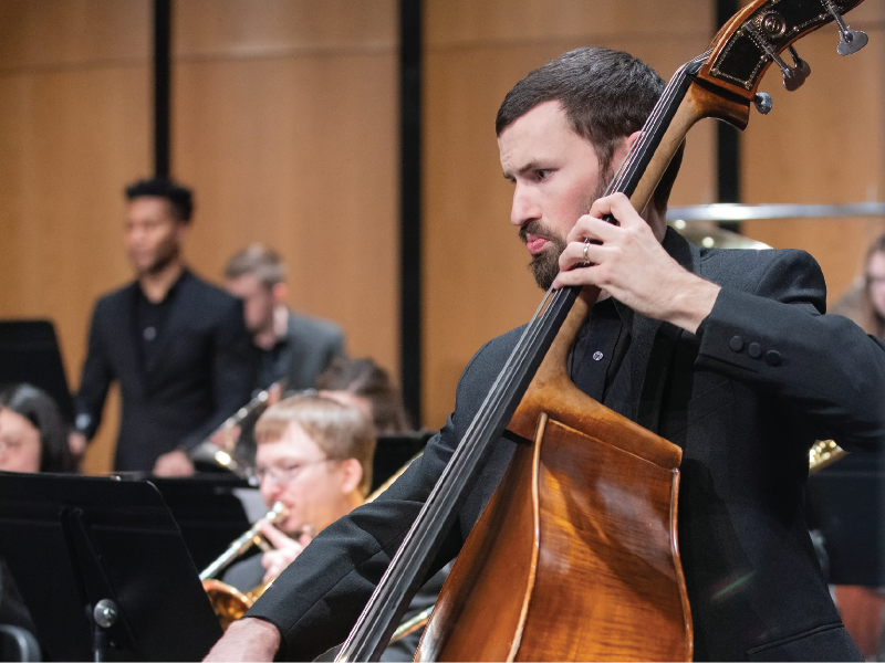 a double-bass player
