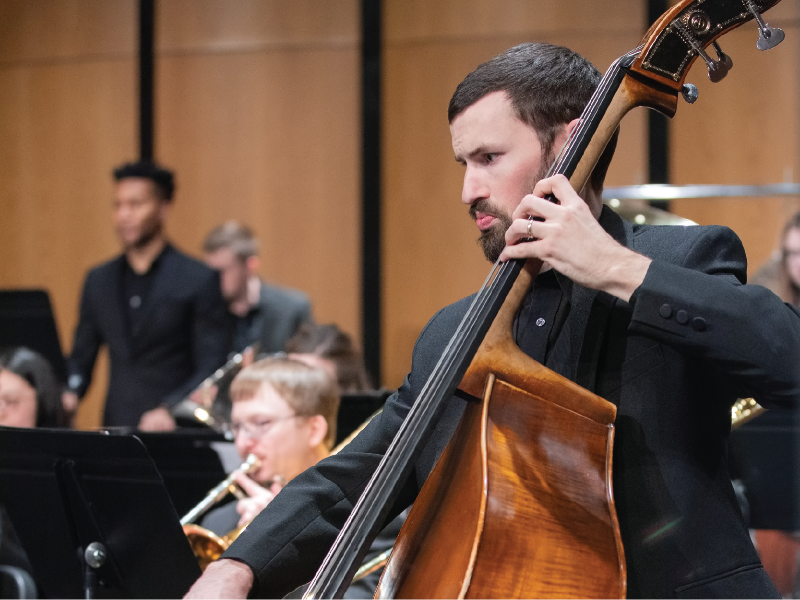 a close-up of a double bass player