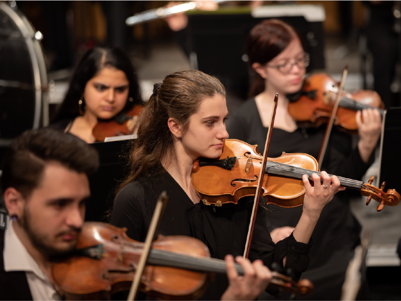 This is an image of an orchestral violin section