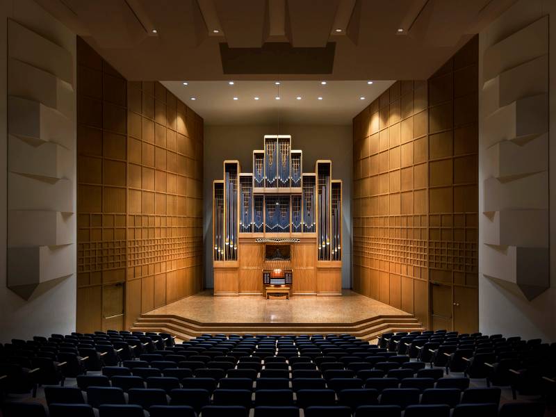 an image of our organ