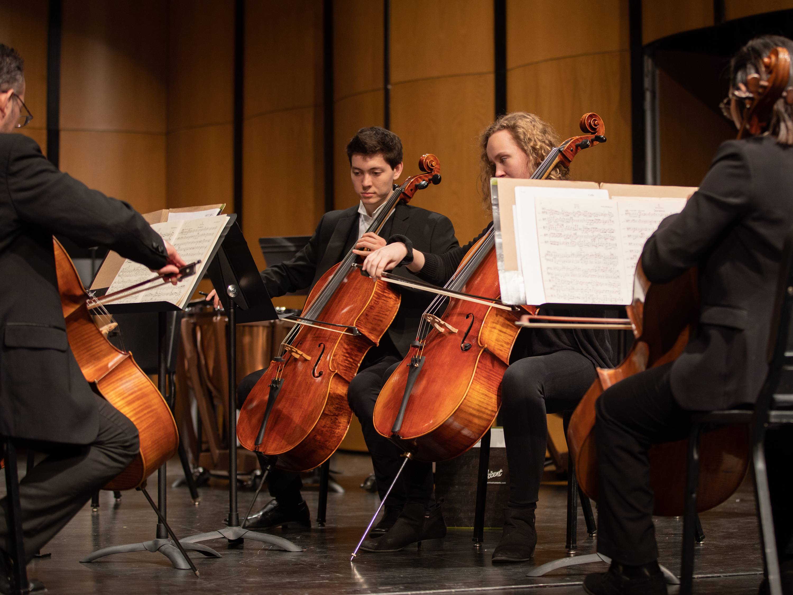 a cello quartet performing their music