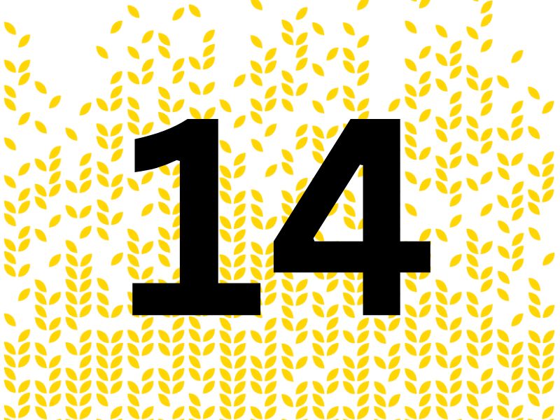 14