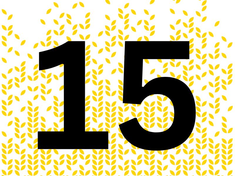 number 15 with yellow background