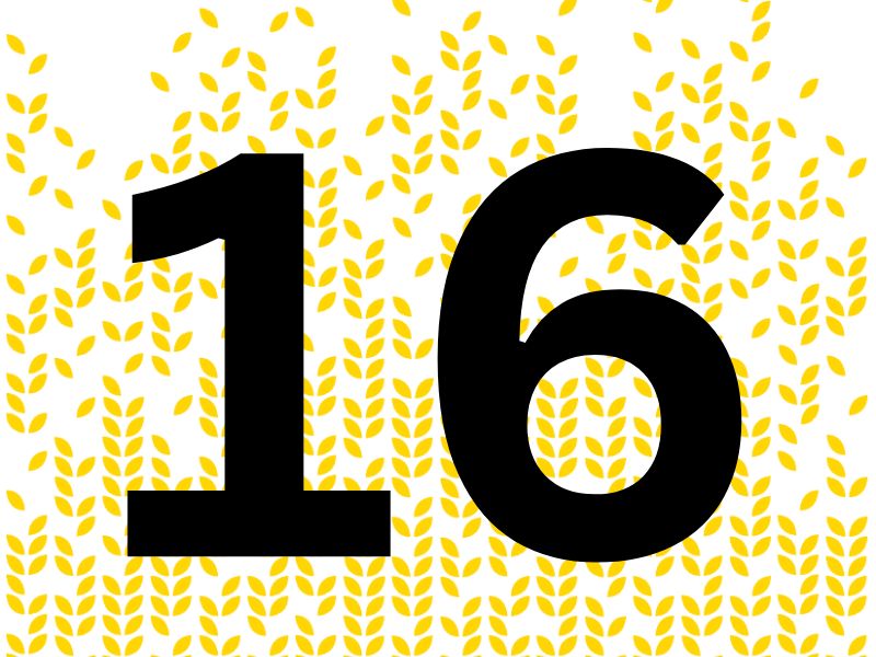 number 16