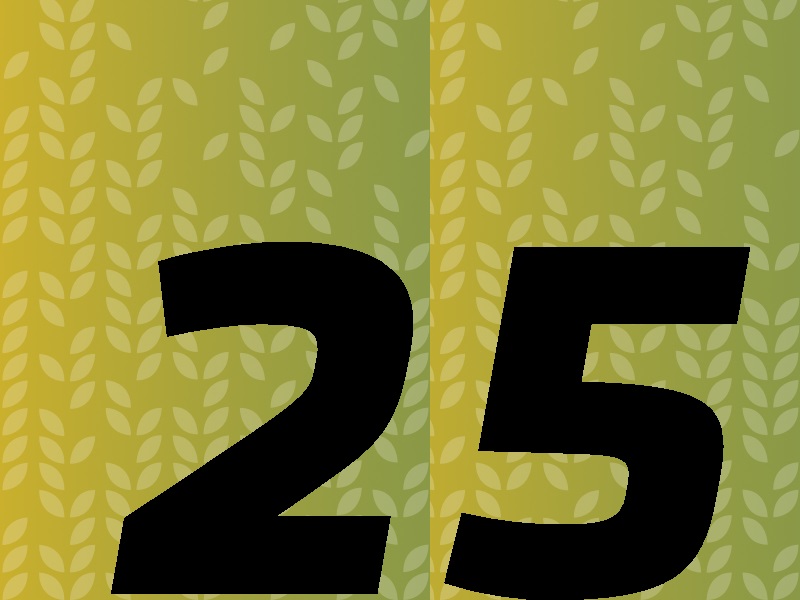 Number 25