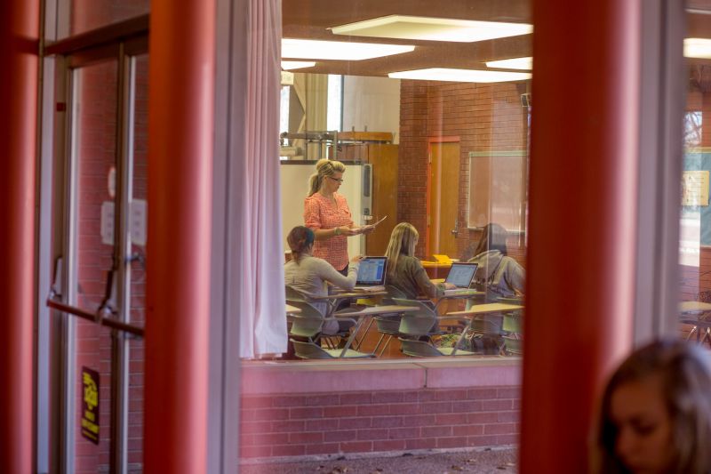 Woman faculty teaching in a class