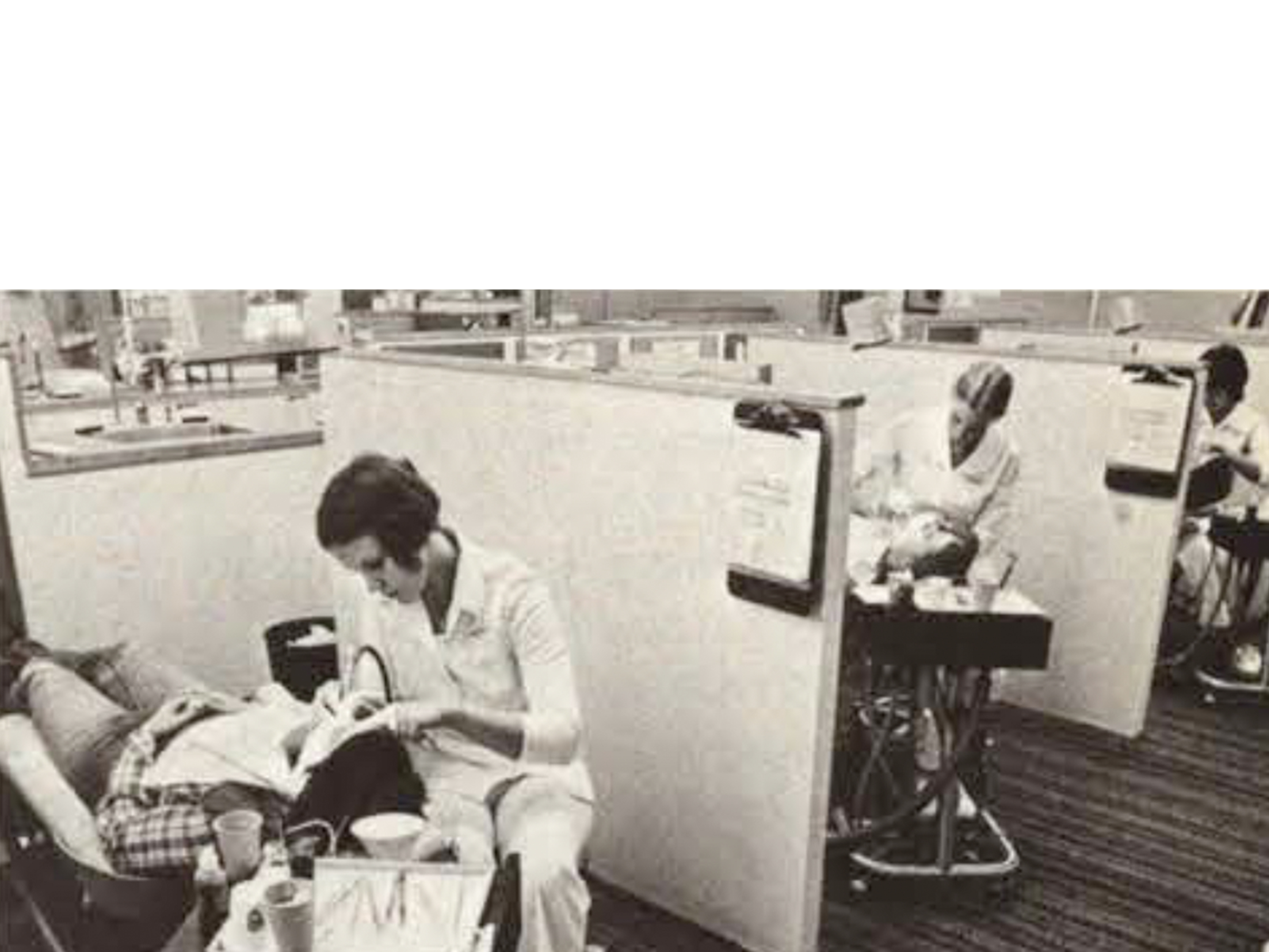 dental hygienists