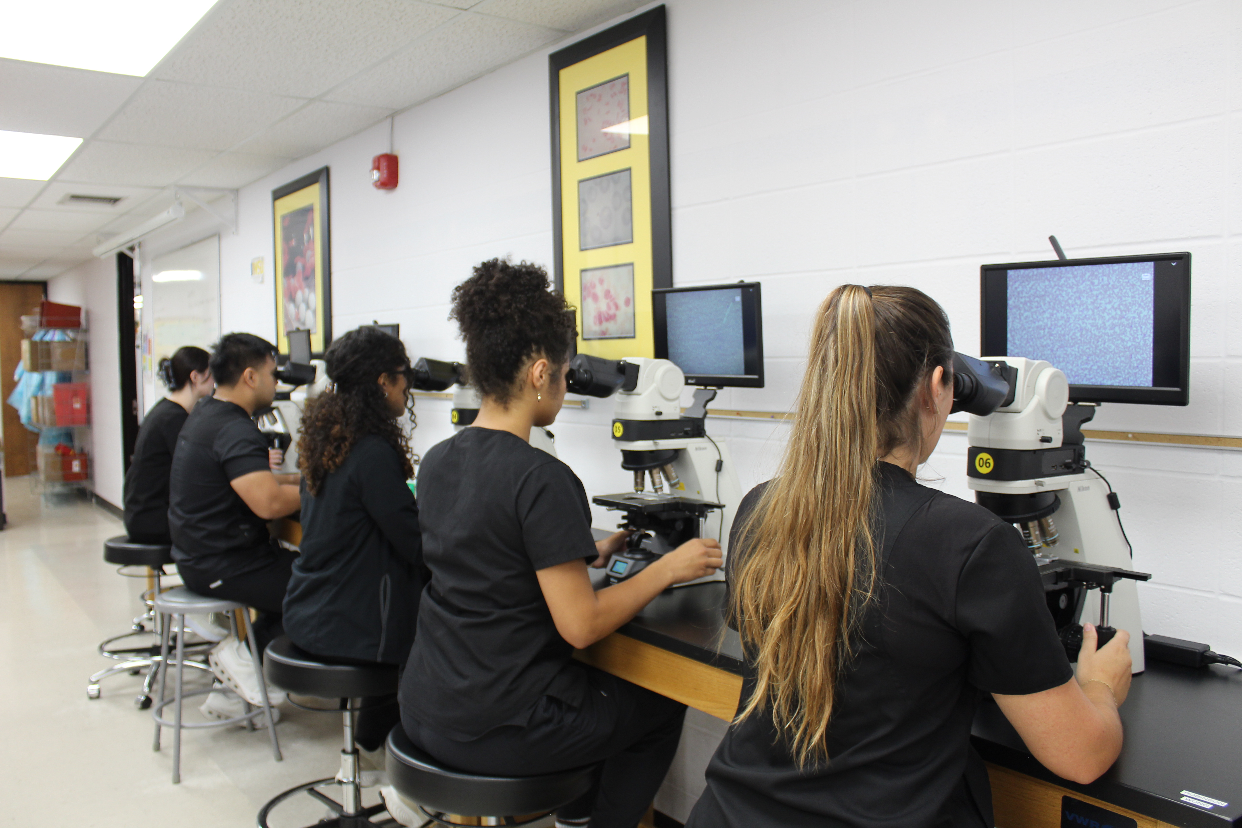 Medical Laboratory Sciences students sit in a row looking into new microscopes