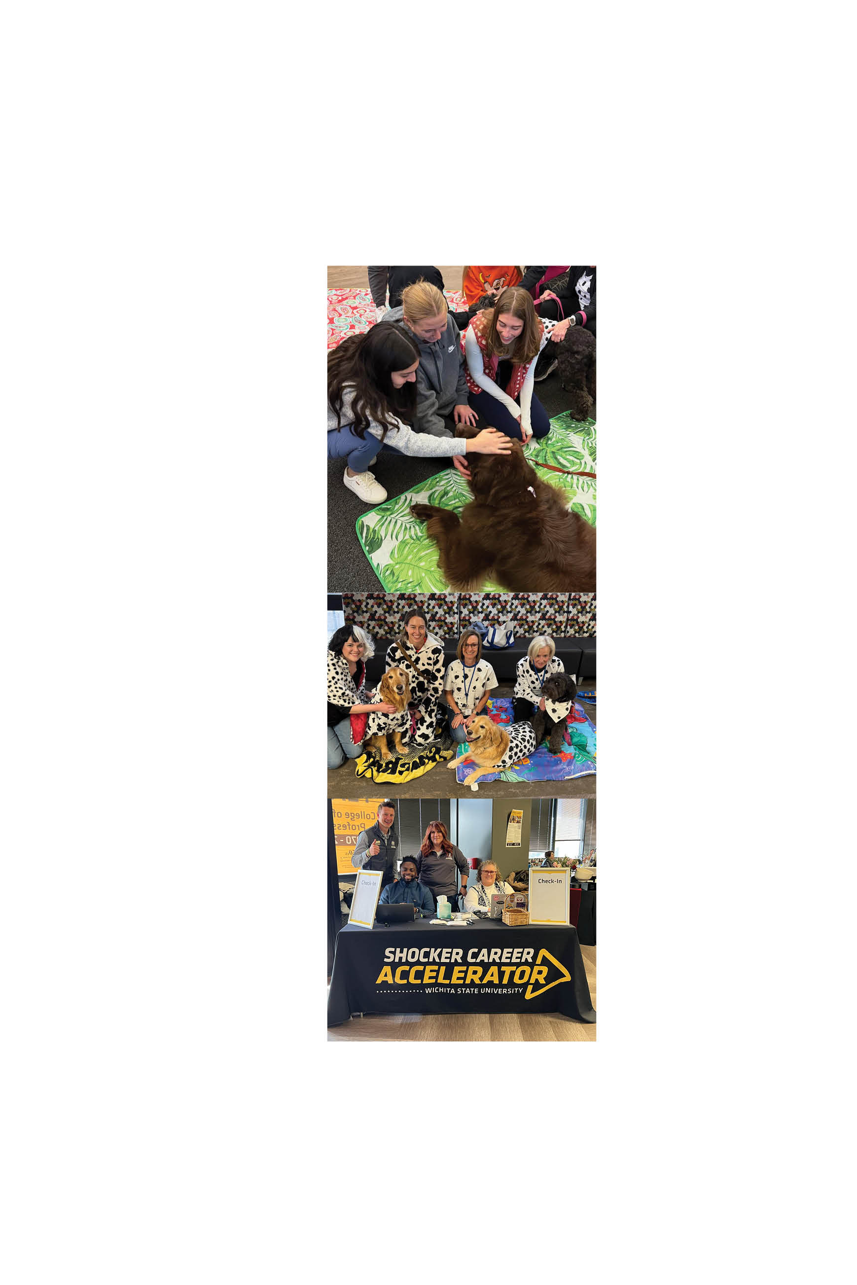 CHP week collage