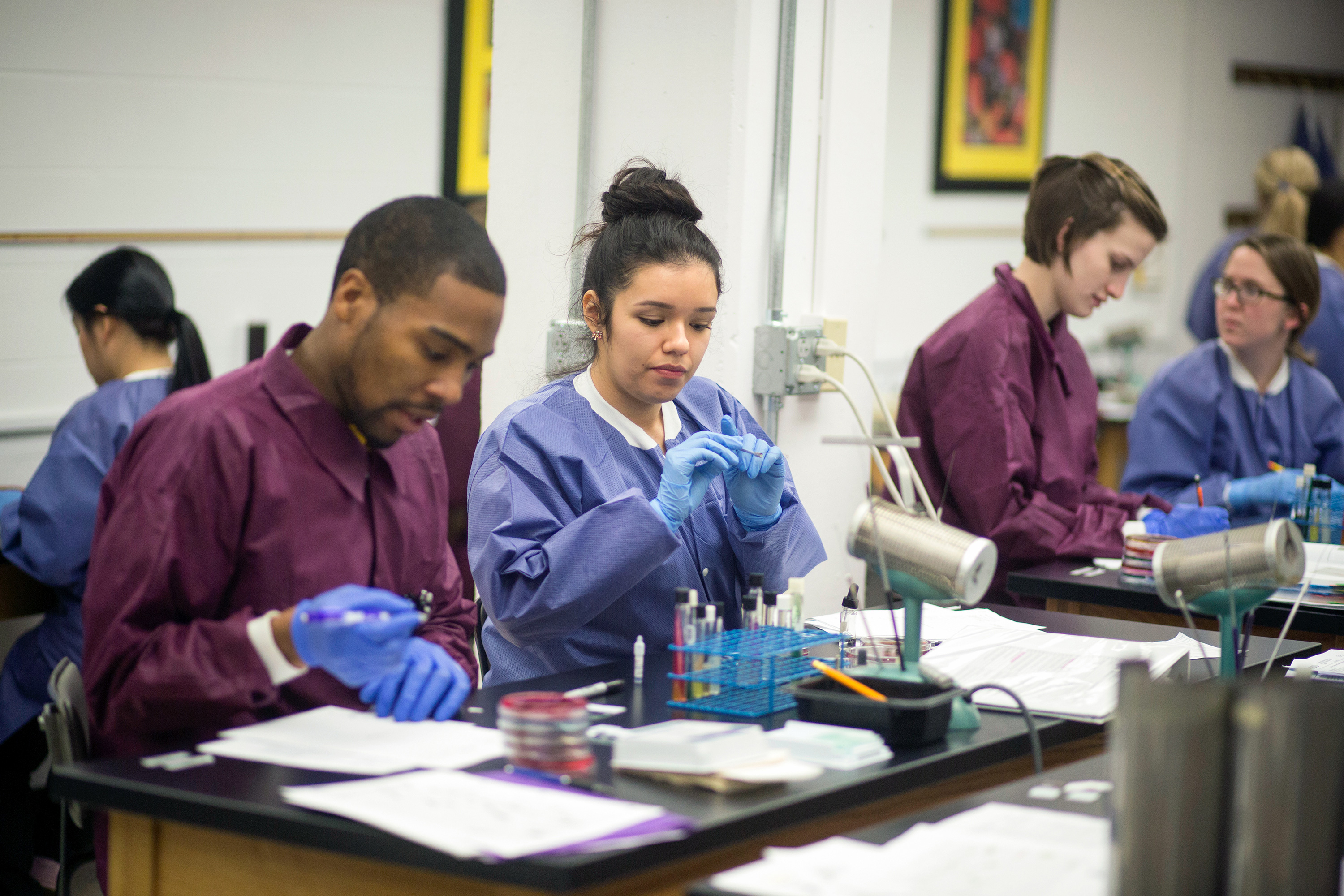 Wichita State health professions students conduct exercises in a laboratory setting.