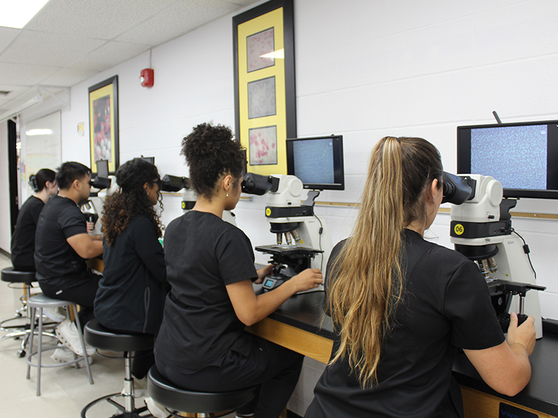 MLS upgrades labs with microscopes 