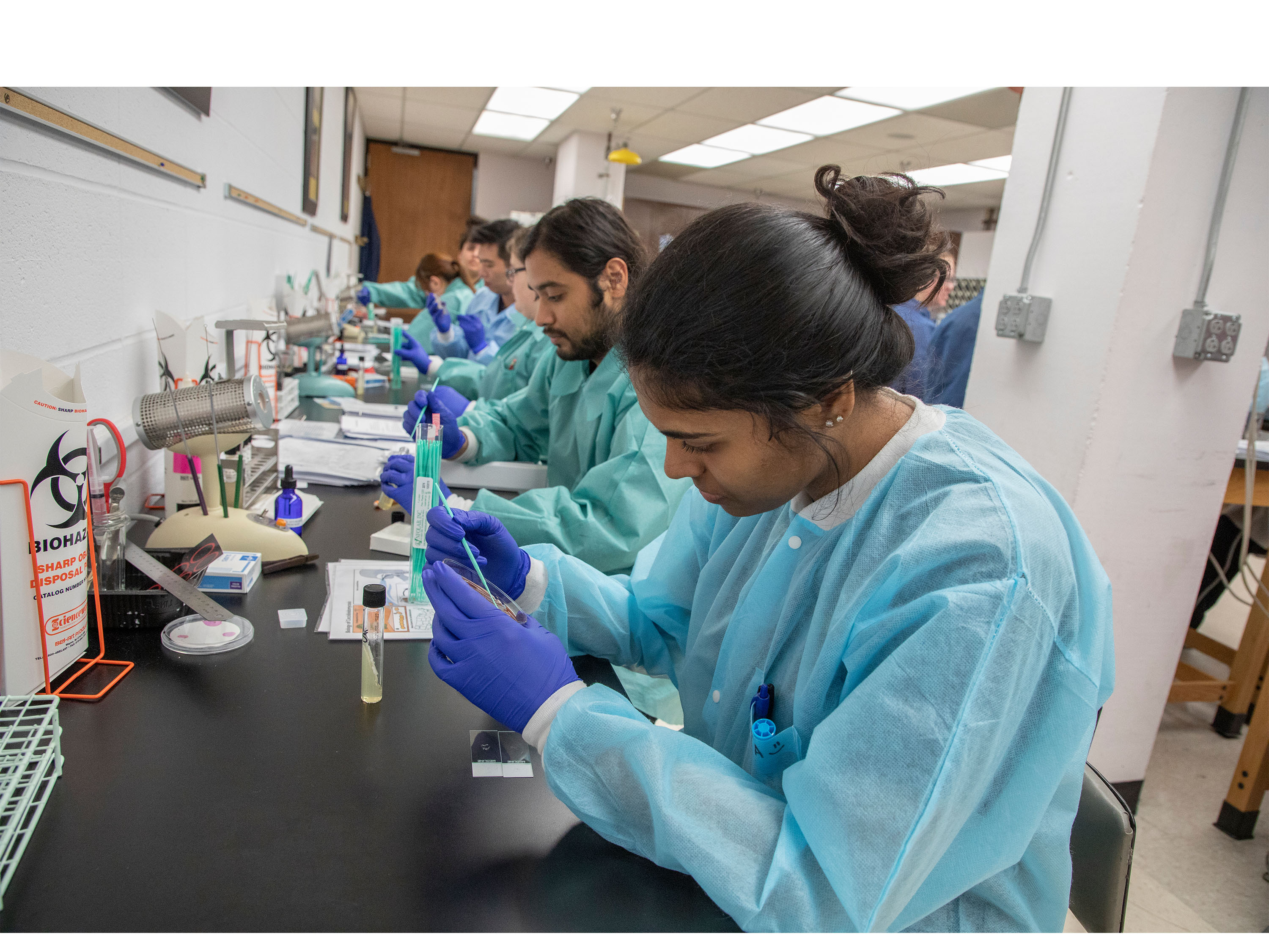 Bachelor Of Science In Medical Laboratory Sciences