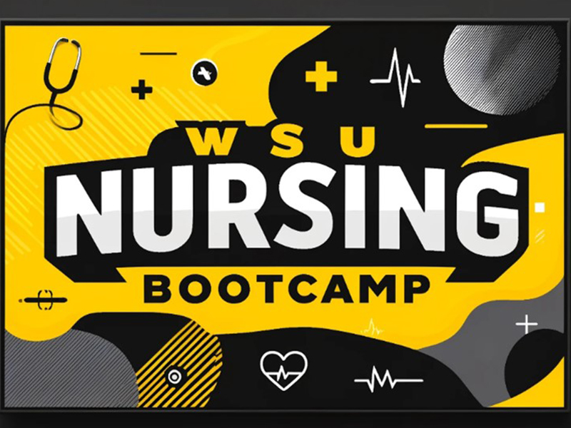 Nursing bootcamp image