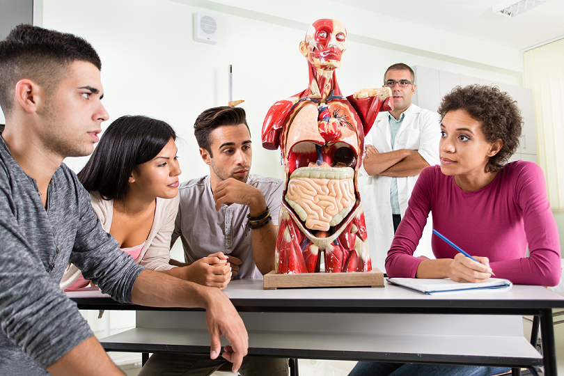 Students in Anatomy Lab